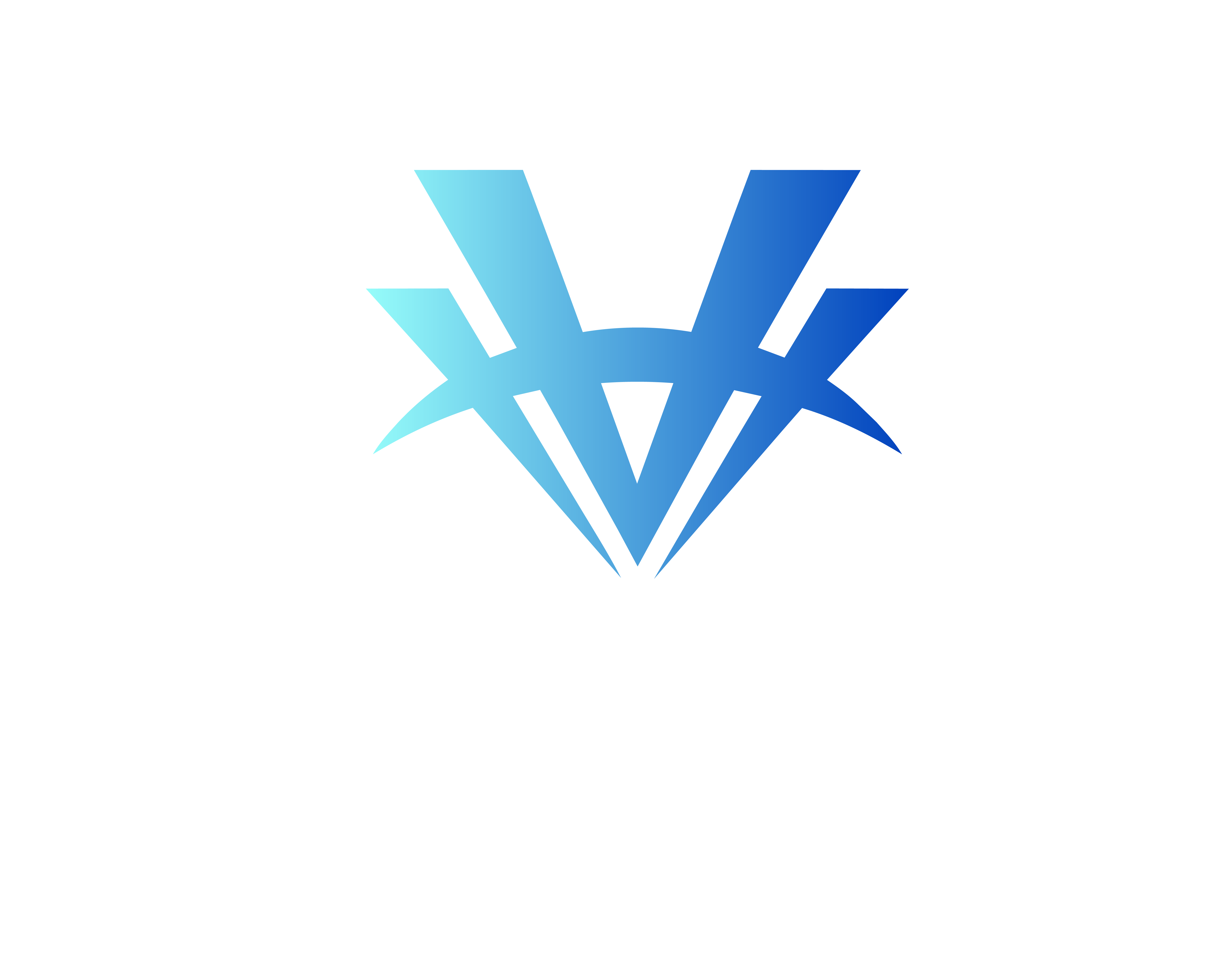 V-GO NOW TRANSPORT